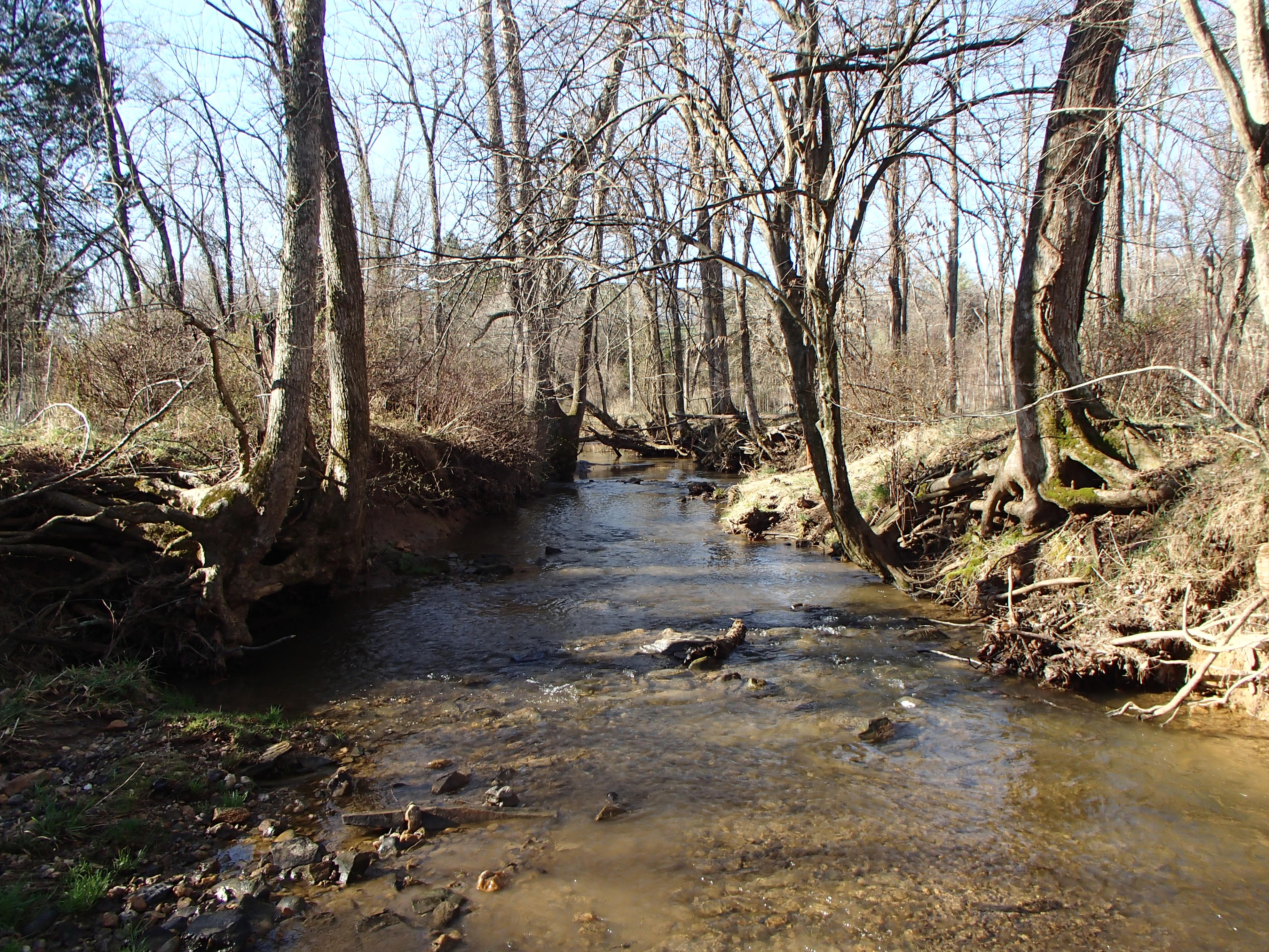 Field photo showing stream conditions at site PRMO-201-X-2016_Midpoint facing downstream
